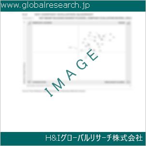 グローバルリサーチ調査資料のイメージ